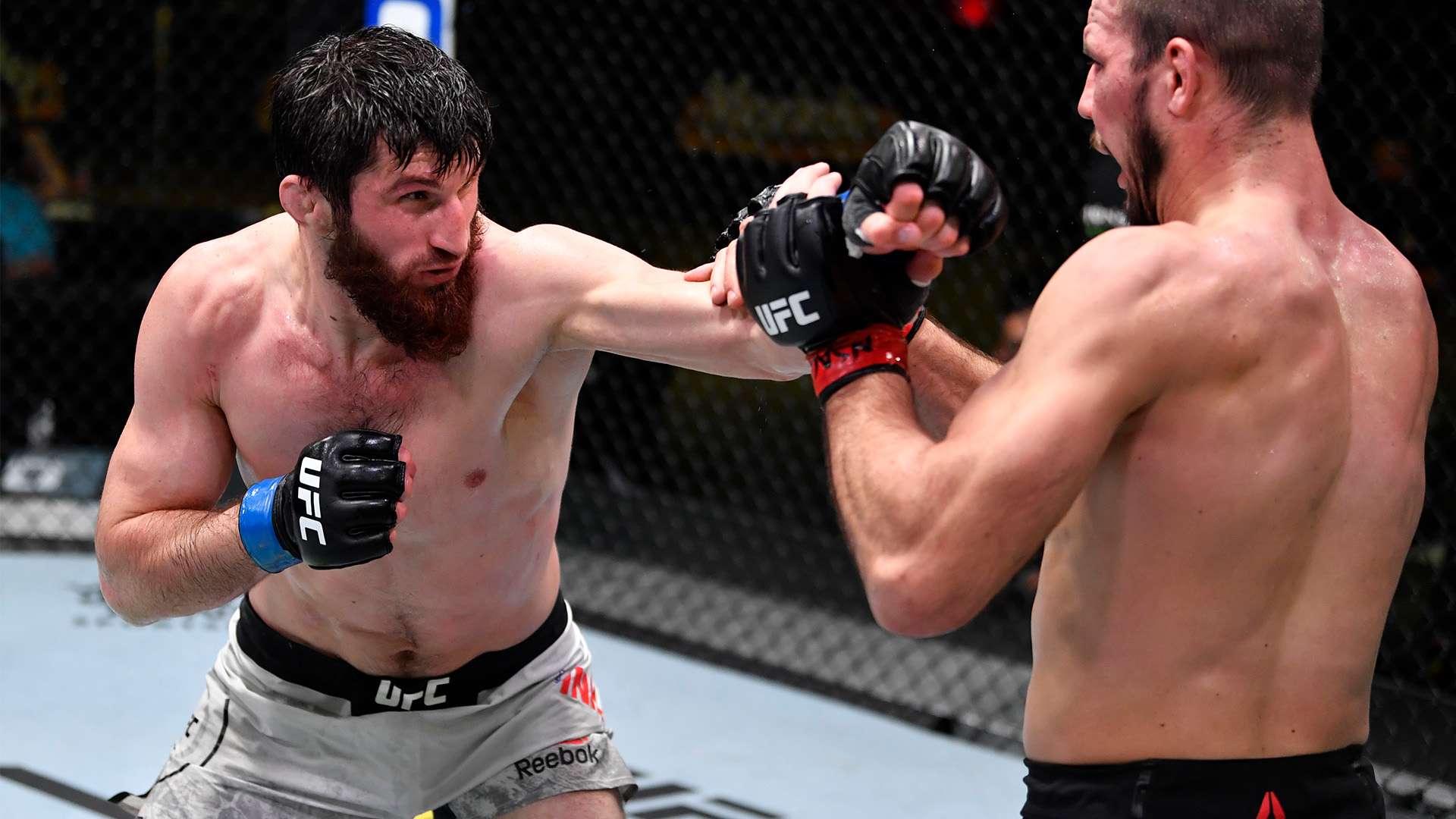 赛乐趣的重 赛乐趣的重