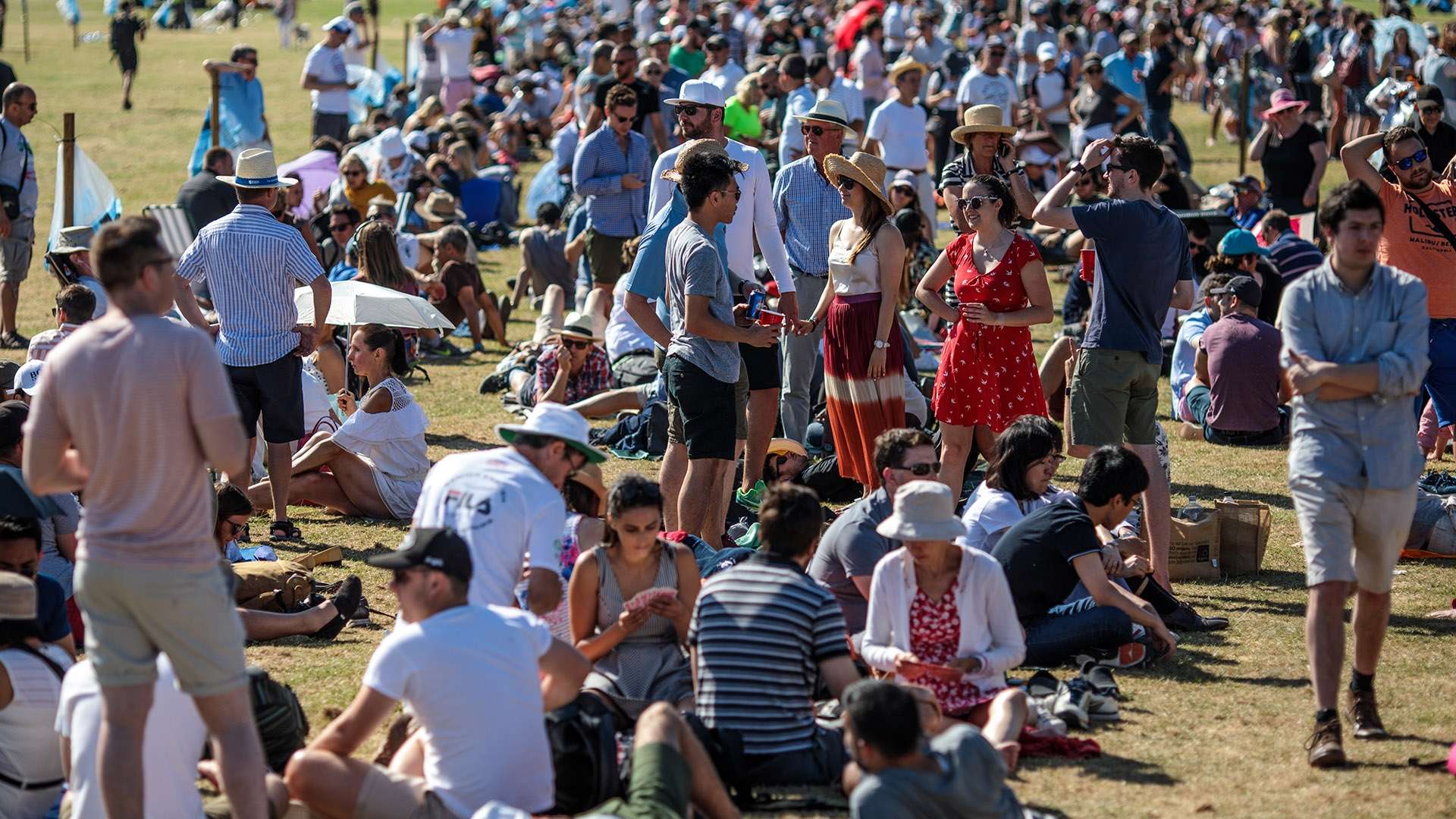 着不可忽视 着不可忽视