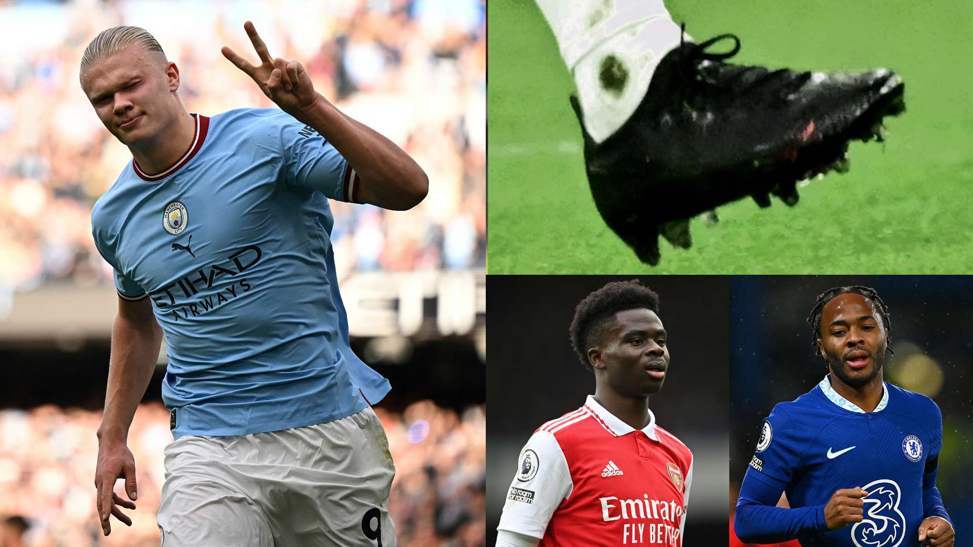 引入实力派 引入实力派