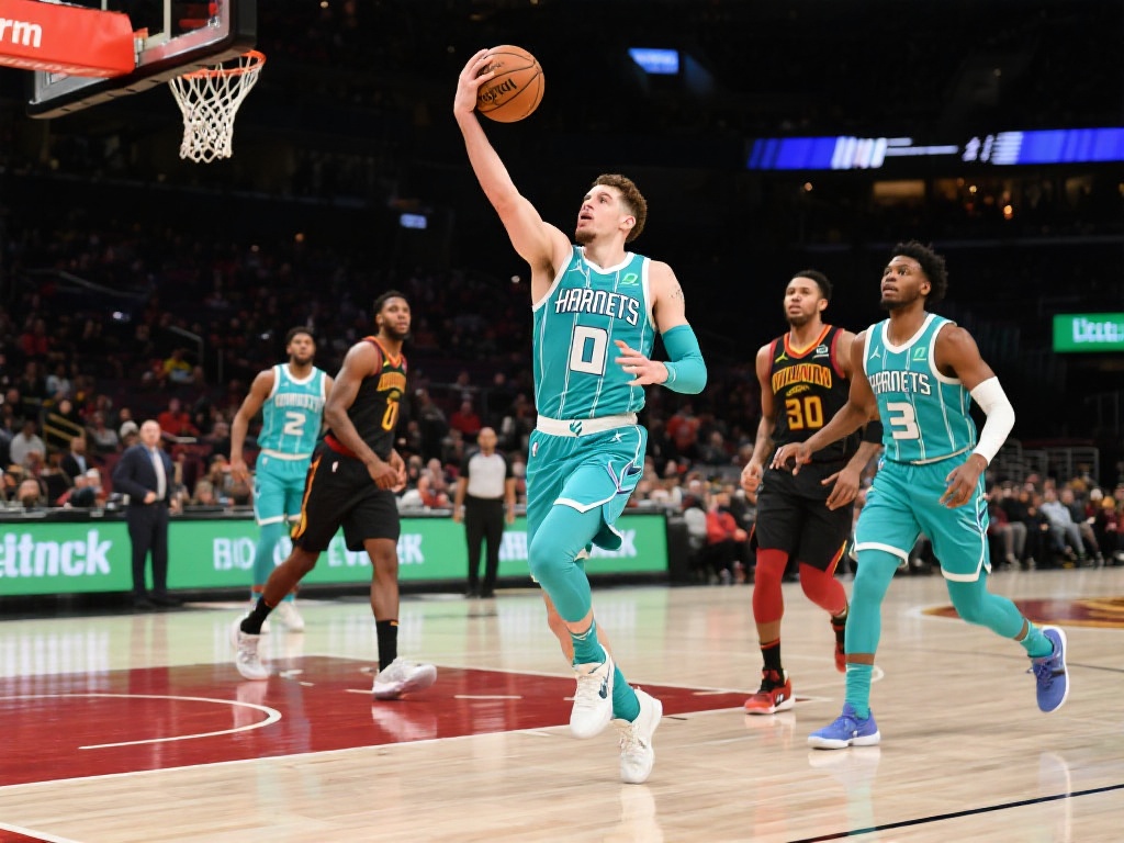 转会市场上 转会市场上